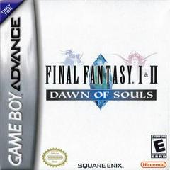 Final Fantasy I & II Dawn of Souls (Manual Only)