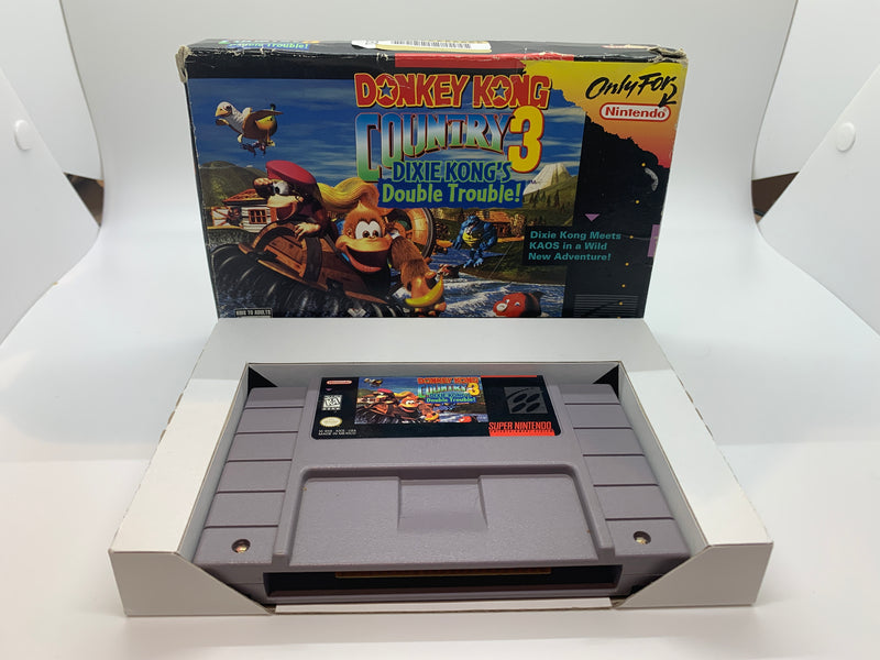 Donkey Kong Country 3 Double Trouble!